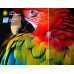 U55QM10 CHIQ 55 INCH 4K QLED Google TV 